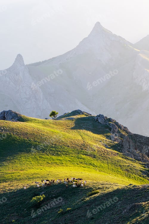 Preview: Sunlight Mountain