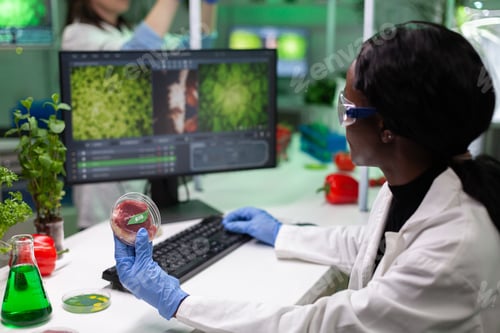 Preview: African american chemist researcher holding petri dish with vegan meat