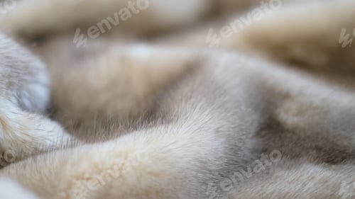Preview: defocus mink fur texture close-up background.