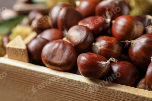 Preview: Fresh sweet edible chestnuts in wooden crate, closeup