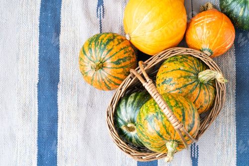 Preview: Basket of vibrant pumpkins on striped rug displaying autumn harvest colors