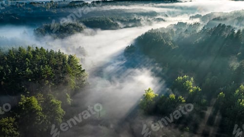 Preview: Aerial view of mist over valley with river at sunrise.