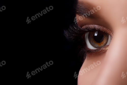 Preview: Eyelash Extension Procedure. Woman Eye with Long Eyelashes after Extension Procedure. White