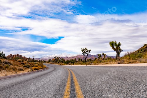 Preview: Joshua Tree National Park Road California USA