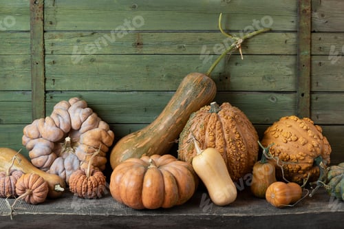 Preview: Variety of Pumpkins and Squash in Harvest