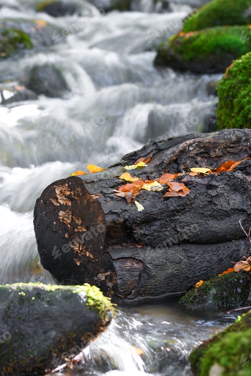 Preview: Photo of water flowing in a river during autumn