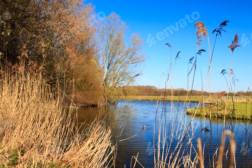 Preview: Autumn landscape of the Biesbosch National Park