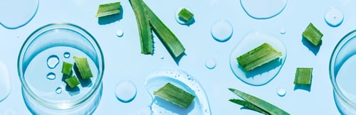 Vista previa: petri dish on a light blue background drops of aloe vera