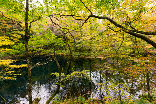 Preview: Lake pond in autumn