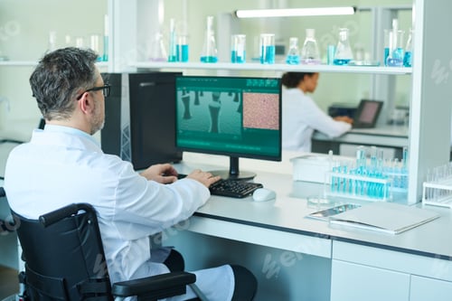 Preview: Rear view of mature researcher sitting in wheelchair in front of computer
