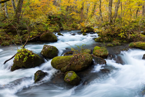 Preview: Waterfall in Oirase stream at Towada