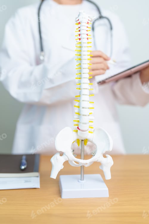 Preview: Doctor with human Spine anatomy model. Spinal Cord Disorder