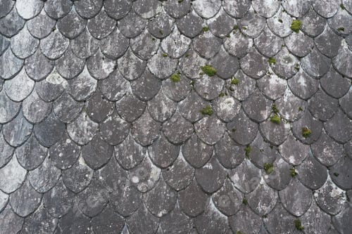 Preview: Shale roof texture