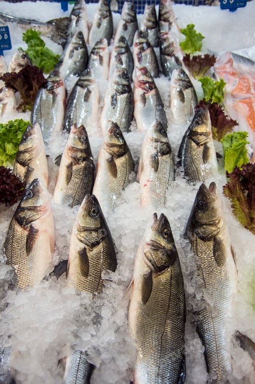 Preview: Raw fish market. Seafood healthy fish market.