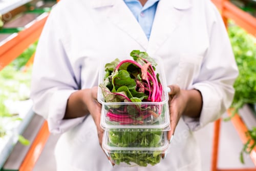 Preview: Fresh beet leaves in plastic container on top of stack held by young agronomist