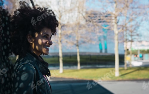 Preview: Portrait of black woman with afro hair.