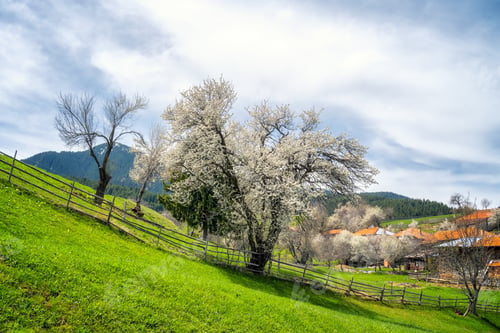 Preview: Sunny morning over the spring valley in Rhodope Mountains, Bulgaria