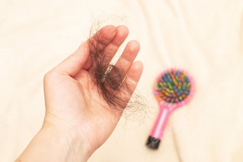 Preview: close up photo of female hand holding lost hair in hand on a beige background.