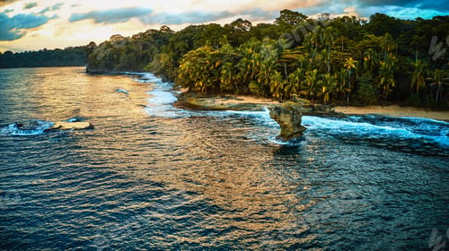Preview: Aerial view of a tropical coast. Ocean scenery surrounded by palm trees on a beach with white sand