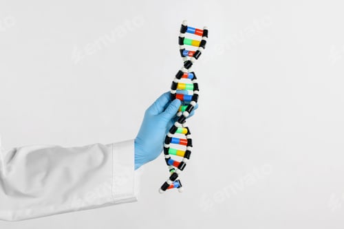 Preview: Scientist holding DNA structure model on white background, closeup