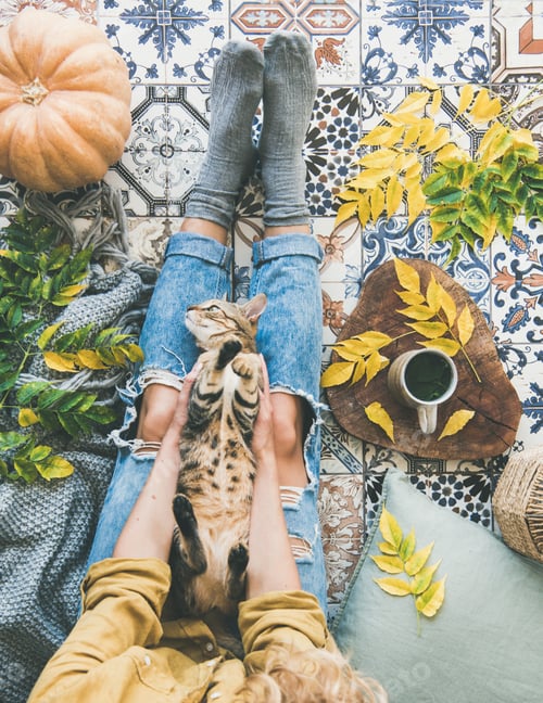 Preview: Female sitting on tiled floor with cat in hands