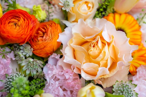 Preview: Set of flower box with different flower