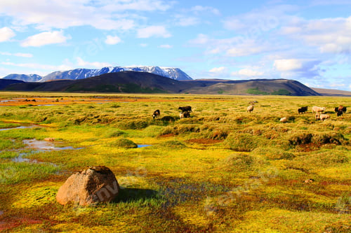 Preview: countryside near Hvitarnes hut