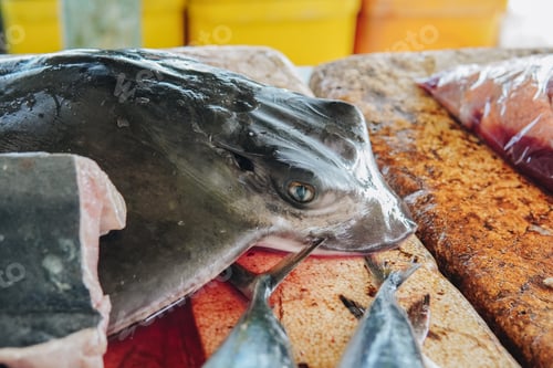 Preview: Close up picture of a ocean fish stingray on a table. The fish is fresh and for sale in the market.