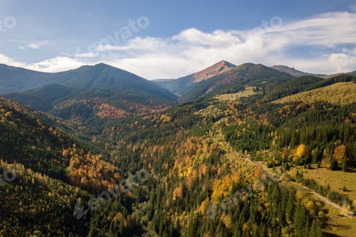 Preview: Aerial view of autumn mountain landscape with evergreen pine trees