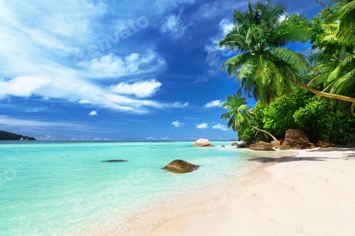 Preview: Beach On Mahe Island, Seychelles