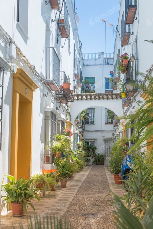 Preview: small spanish street with flowers