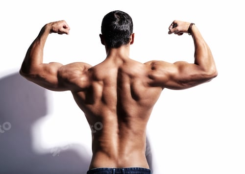 Preview: Portrait of young strong man with perfect sportive body posing in studio