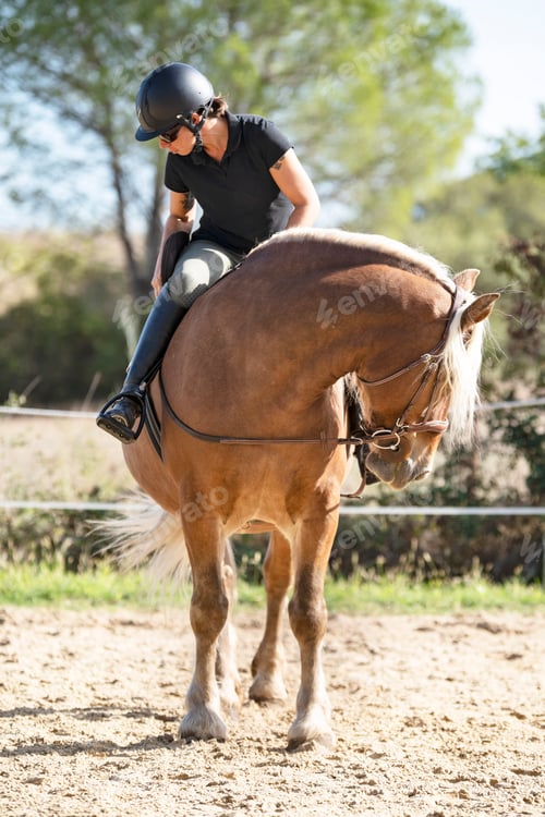 Preview: riding girl and comtois horse