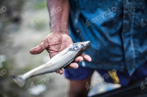 Preview: Fishermen, Fort Kochi (Cochin), Kerala, India