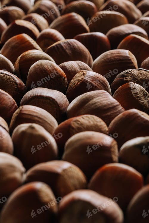 Preview: Closeup of some unopened hazelnuts
