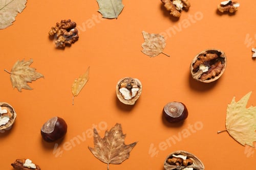 Preview: Concept of Autumn, Autumn composition accessories on orange background