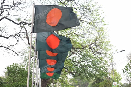 Preview: Beautiful waving flag of Bangladesh