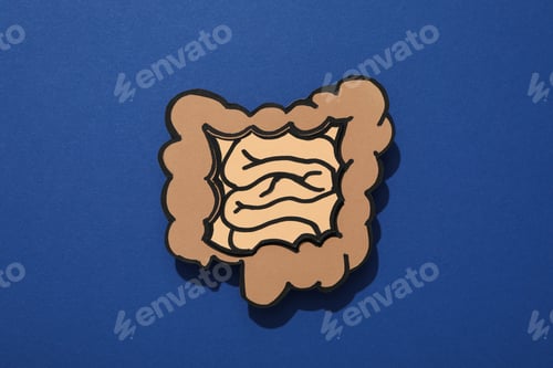 Preview: Concept of health care, stomach and intestinal problems