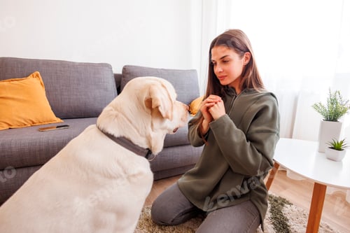 Woman Interacting with Dog in Living Room