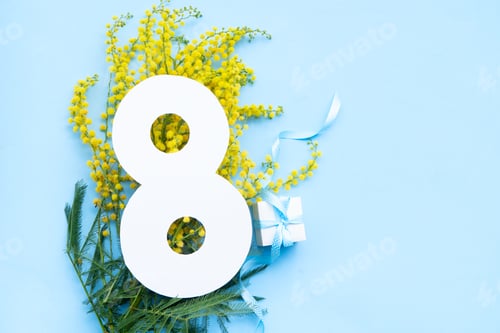 Preview: Mimosa flowers on blue background