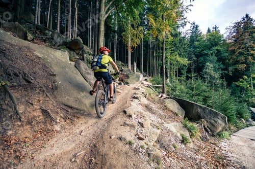 Preview: Mountain biker riding cycling in autumn forest