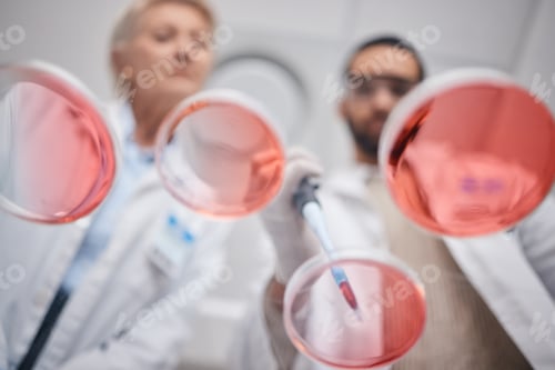 Preview: Research, laboratory and science by technician team in analytics with a sample in a lab working for