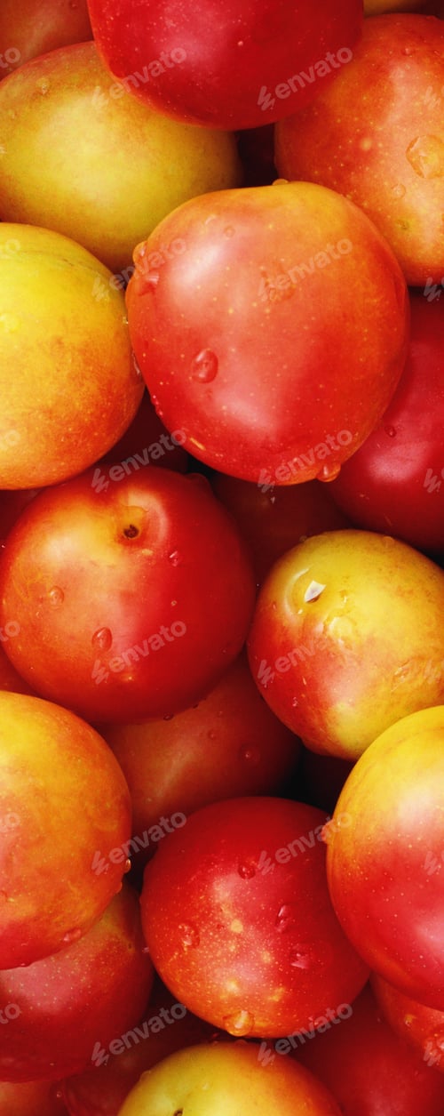 Preview: plums background view