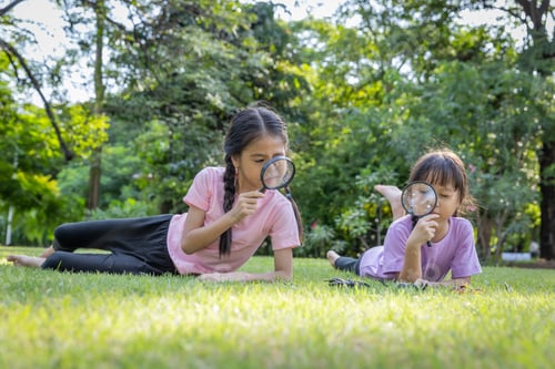Preview: Children learn to use a magnifying glass.