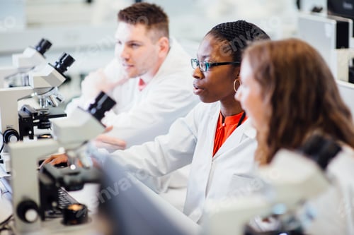 Preview: Scientists engaged in research at a laboratory bench