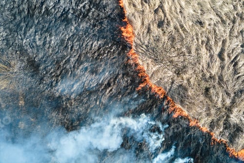Preview: Aerial view of grassland field burning with red fire during dry season. Natural disaster and climate