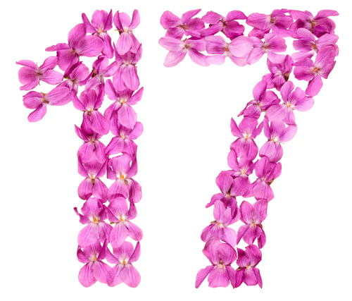 Preview: Arabic numeral 17, seventeen, from flowers of viola, isolated on white background