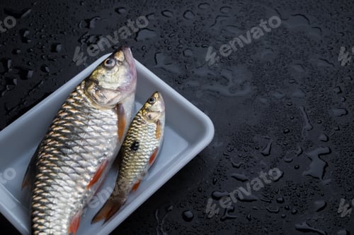 Preview: fish in plastic tray