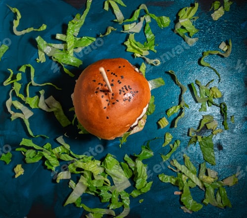 Preview: Overhead shot of a delicious burger