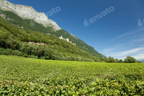 Preview: Low angle shot of the famous Fortress of Miolans overlooking a wide vineyard